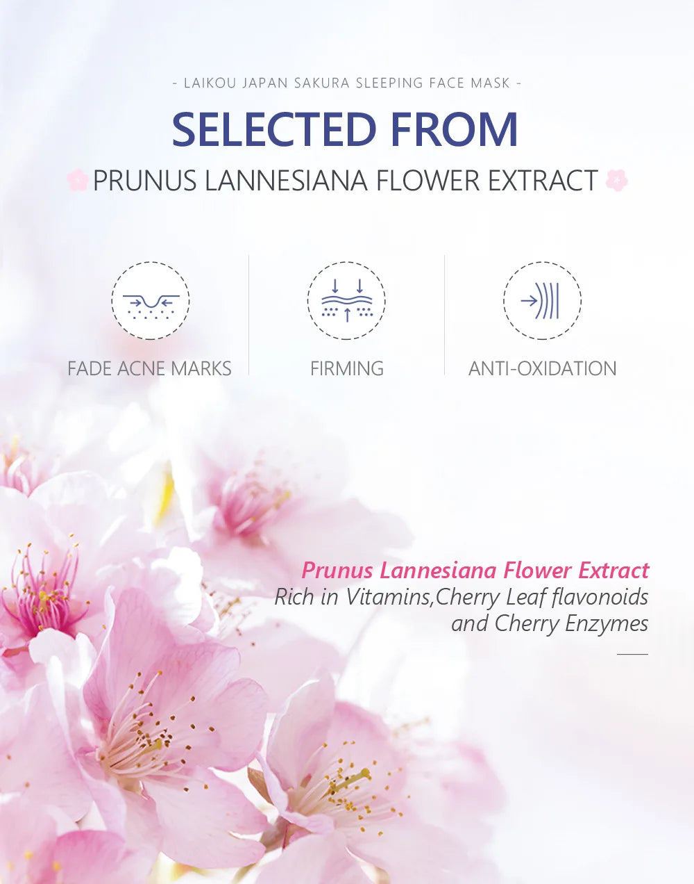Japan Sakura Sleeping Face Mask — Moisturizing & Repairing Night Facial Mask