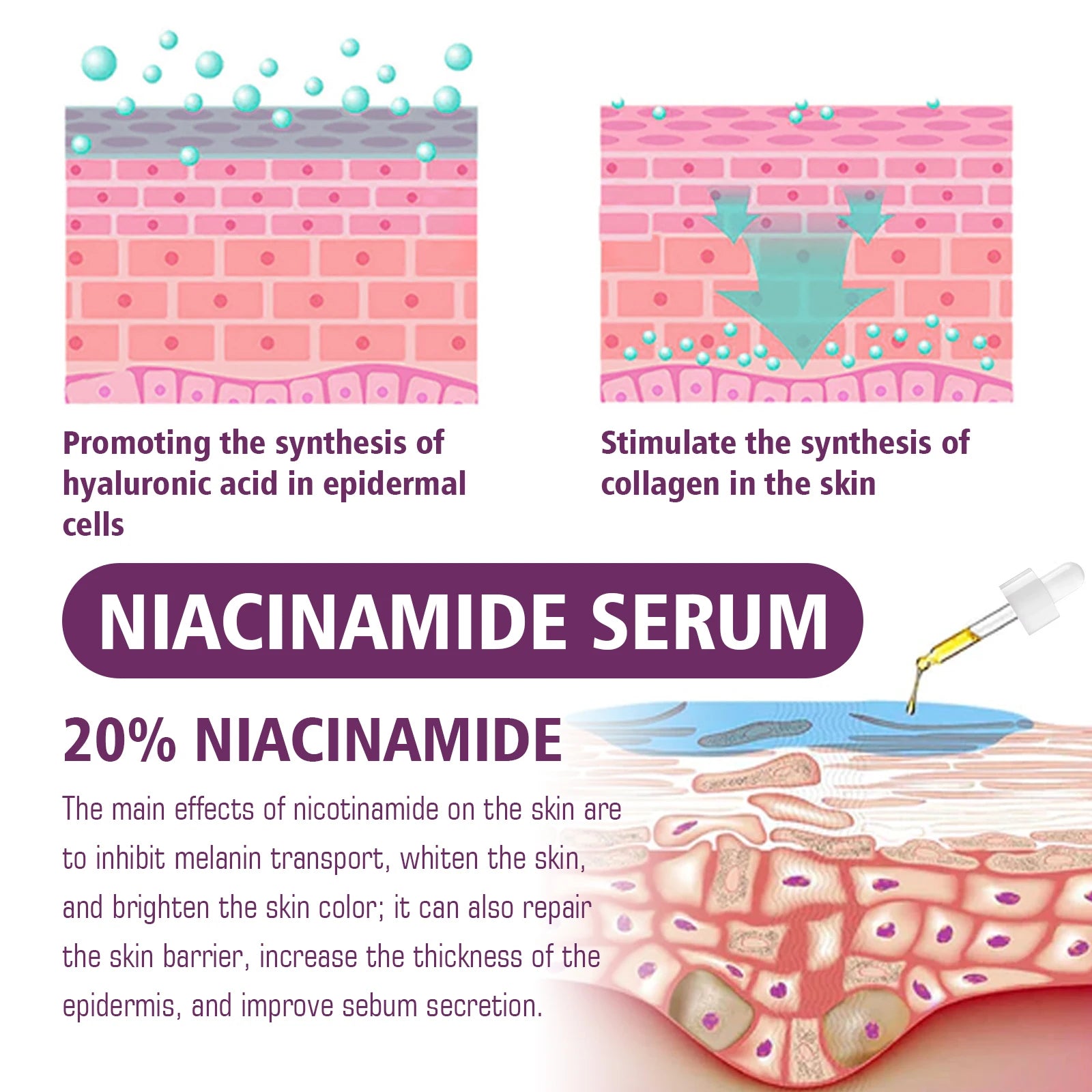 20% Niacinamide B3 Concentrated Anti-Aging For Discoloration And Minimizing Large Pores Fragrance Free And Paraben Free 20ml